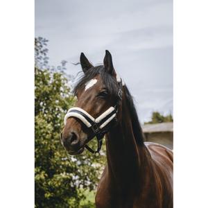Halster för häst Equithème Fashion image-2