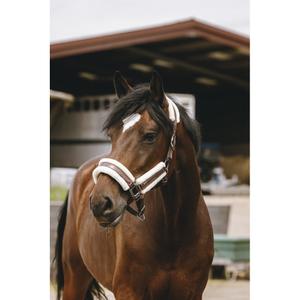 Halster för häst Equithème Fashion image-2