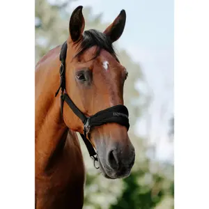 Halster voor paarden Equithème 3D Mesh image-2