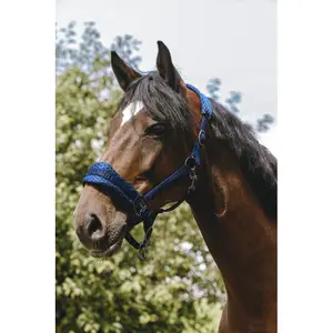 Halster voor paarden Equithème 3D Mesh image-1