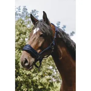 Halster voor paarden Equithème 3D Mesh image-2