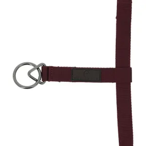 Halster voor paarden Equithème 3D Mesh image-1