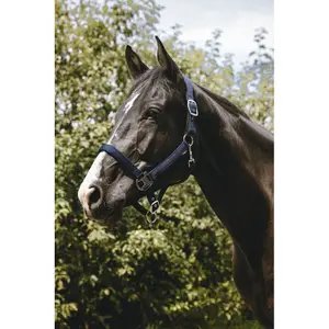 Grime til heste Equithème Protector image-2