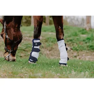 Closed horse boots Riding World (x4) image-1