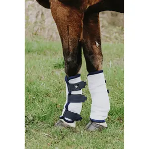 Closed horse boots Riding World (x4) image-2