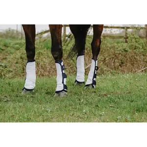 Closed horse boots Riding World (x4) image-3