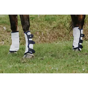 Closed horse boots Riding World (x4) image-4