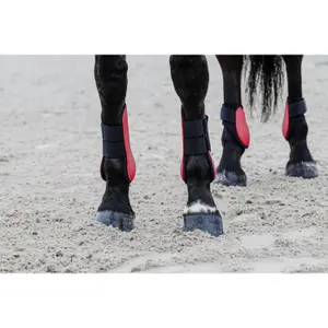 Fetlock protectors Equithème Tara image-1