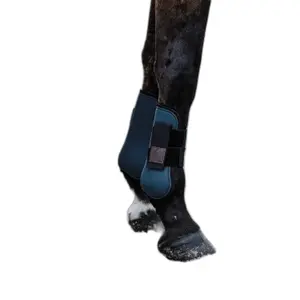 Open laarzen Equithème Tara image-1