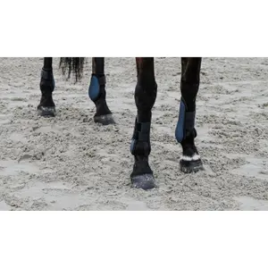 Open laarzen Equithème Tara image-2