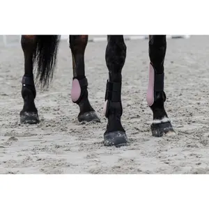 Fetlock protectors Equithème Tara image-1