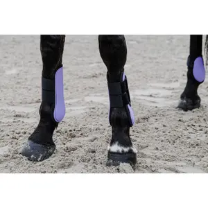 Open horse boots Equithème Tara image-3