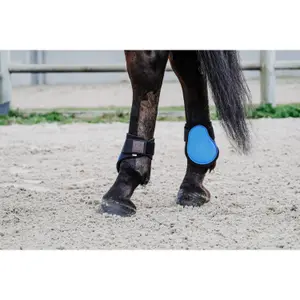 Fetlock protectors Equithème Tara image-1