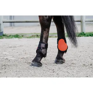 Fetlock protectors Equithème Tara image-2