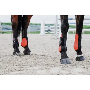 Fetlock protectors Equithème Tara image-1