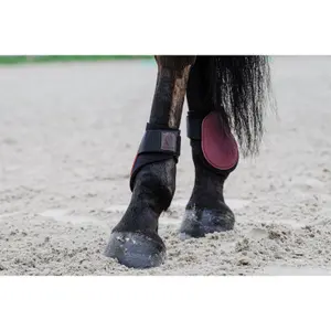Fetlock protectors Equithème Tara image-1