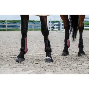 Fetlock protectors Equithème Tara image-2