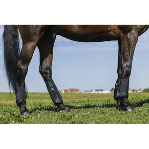 Hindstövlar för hästar Norton Xtr 1680D image-3