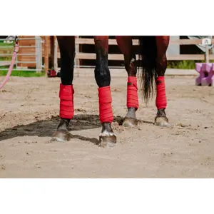 Paardenpolobanden Equithème image-1