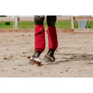 Paardenpolobanden Equithème image-5