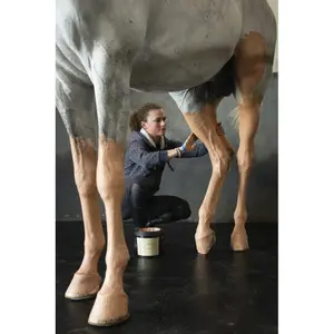 Arcilla para caballos Pénélope Terra Clay image-1