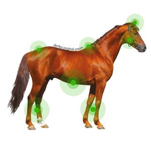 Paardencrème Ekkia Animaderm - Derfen™ image-4