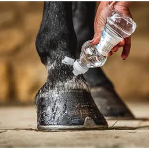 Huföl Carr&Day&Martin Hoof Barrier Cornucrescine image-1