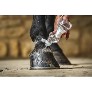 Huföl Carr&Day&Martin Hoof Barrier Cornucrescine image-4