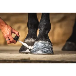 Huile pour sabots Carr&Day&Martin Hoof Barrier Cornucrescine image-5