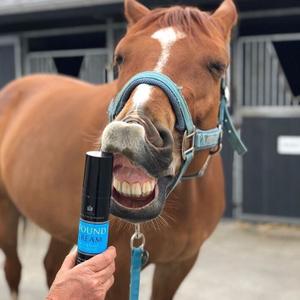 Beruhigende Creme Carr&Day&Martin Wound Cream image-1