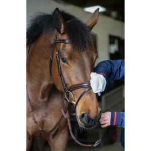 Cleaning gloves Carr&Day&Martin Belvoir® image-5