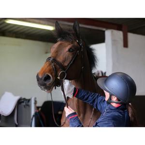 Cleaning gloves Carr&Day&Martin Belvoir® image-6