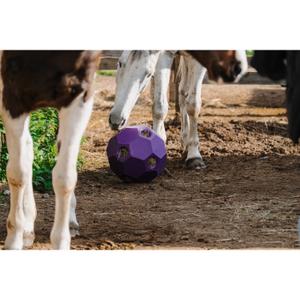 Anti-gorging hay ball Hippotonic image-4