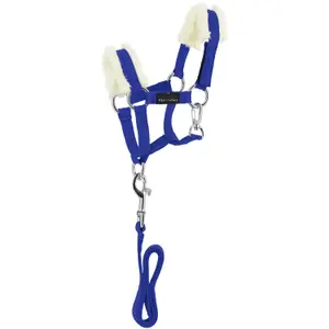 Halter and lead rope set for horse Equithème Pony Academy