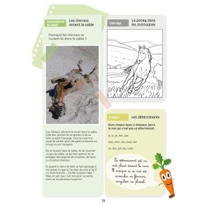 Activiteitendossier Ekkia Lavauzelle Niveau CE1 image-2