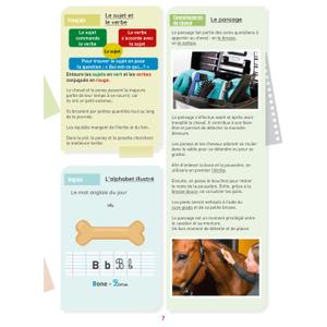 Activiteitendossier Ekkia Lavauzelle Niveau CM1 image-2