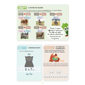 Activiteitendossier Ekkia Lavauzelle Niveau CM2 image-2