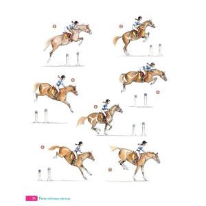 Boek Succes met je galops 5 tot 7 Equithème Vigot image-2