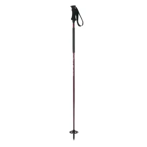 Women's ski poles Elan Ripstick