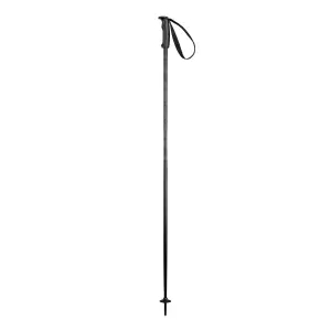 Ski poles Elan Hotrod