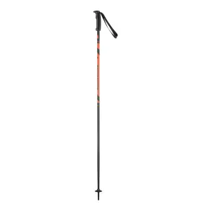 Ski poles Elan Hotrod image-0