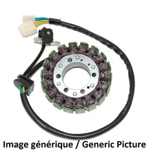 Allumage Moto Stator Electrosport Hyosung Gv650