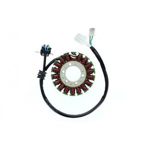 27041-alternatore-per-moto-electrosport-yamaha-nero-oro-tu