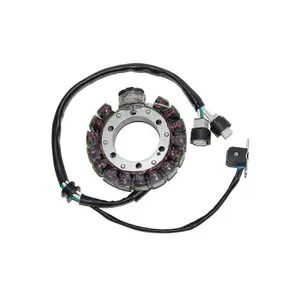 Original adaptable motorcycle alternator Electrosport Yamaha image-0