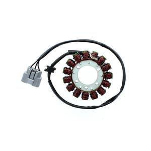 Lichtmaschine Motorrad anpassbar Original Electrosport Kawasaki