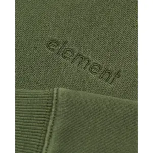 Sweatshirt med hætte i bomuld til børn Element Lowcase Pigment image-5