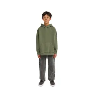 Sweatshirt med hætte i bomuld til børn Element Lowcase Pigment image-2