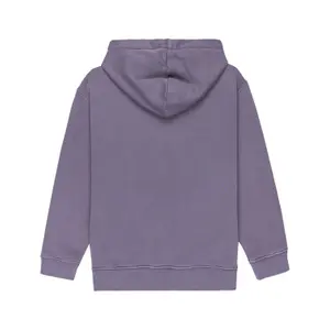 Sweatshirt à capuche enfant Element Lowcase Pigment image-1