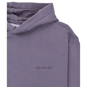 Sweatshirt à capuche enfant Element Lowcase Pigment image-2