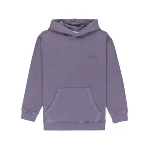 Sweatshirt à capuche enfant Element Lowcase Pigment image-3